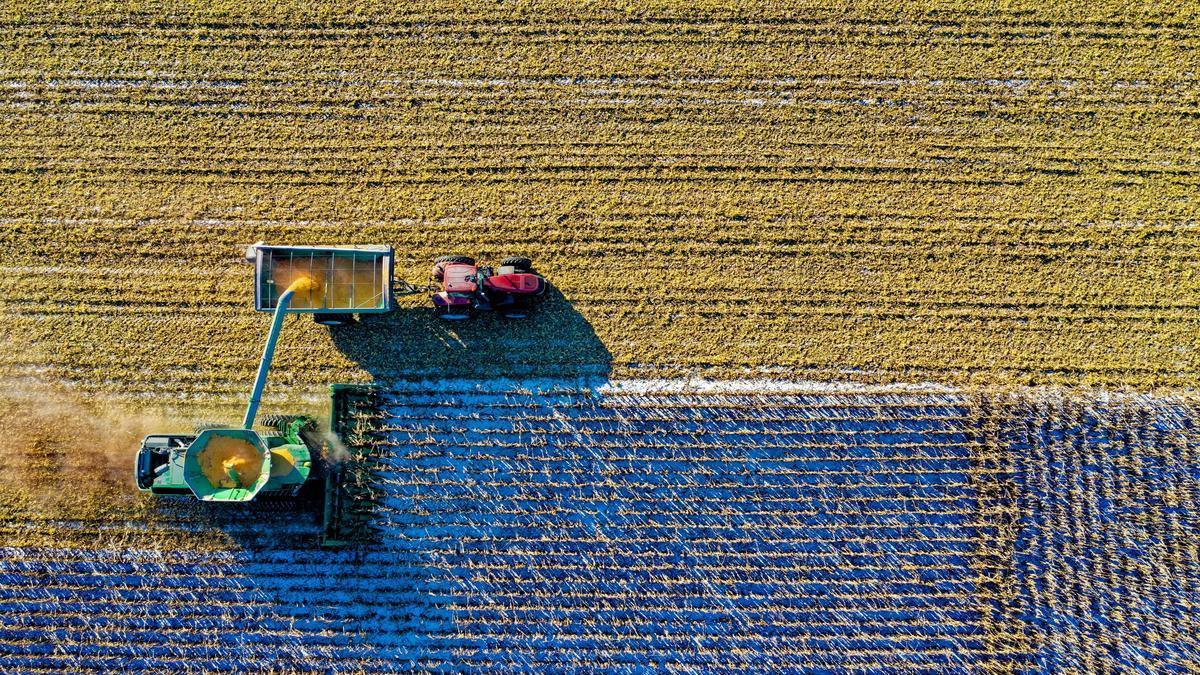 metodo-per-istituire-un-sistema-di-raccolta-dell'acqua-piovana