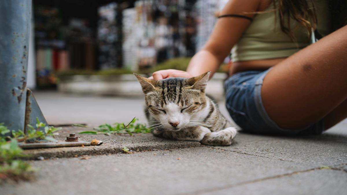 Strategie per creare zone di relax in terrazzi urbani con sedute comode e lanternine